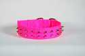 1-3/4-Inch X 16-Inch Hot Pink Nylon Big Dogg Collar With Spikes